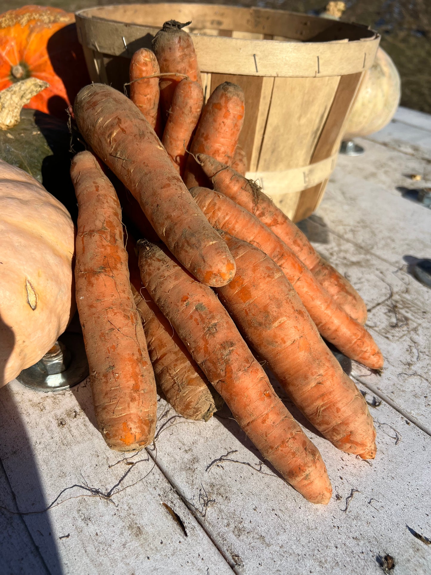 Orange Carrots, Organic
