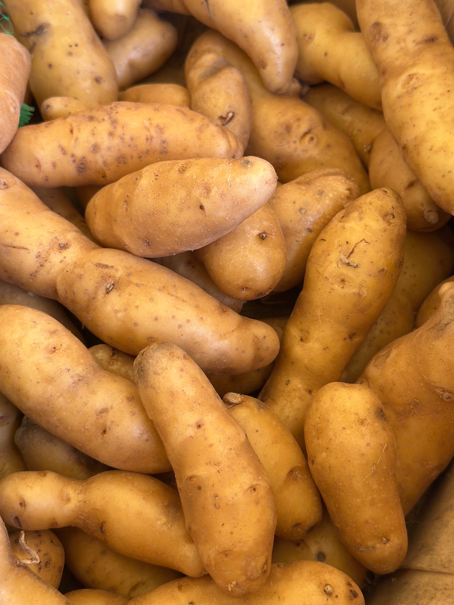 Organic Fingerling Potatoes 1.25 lb