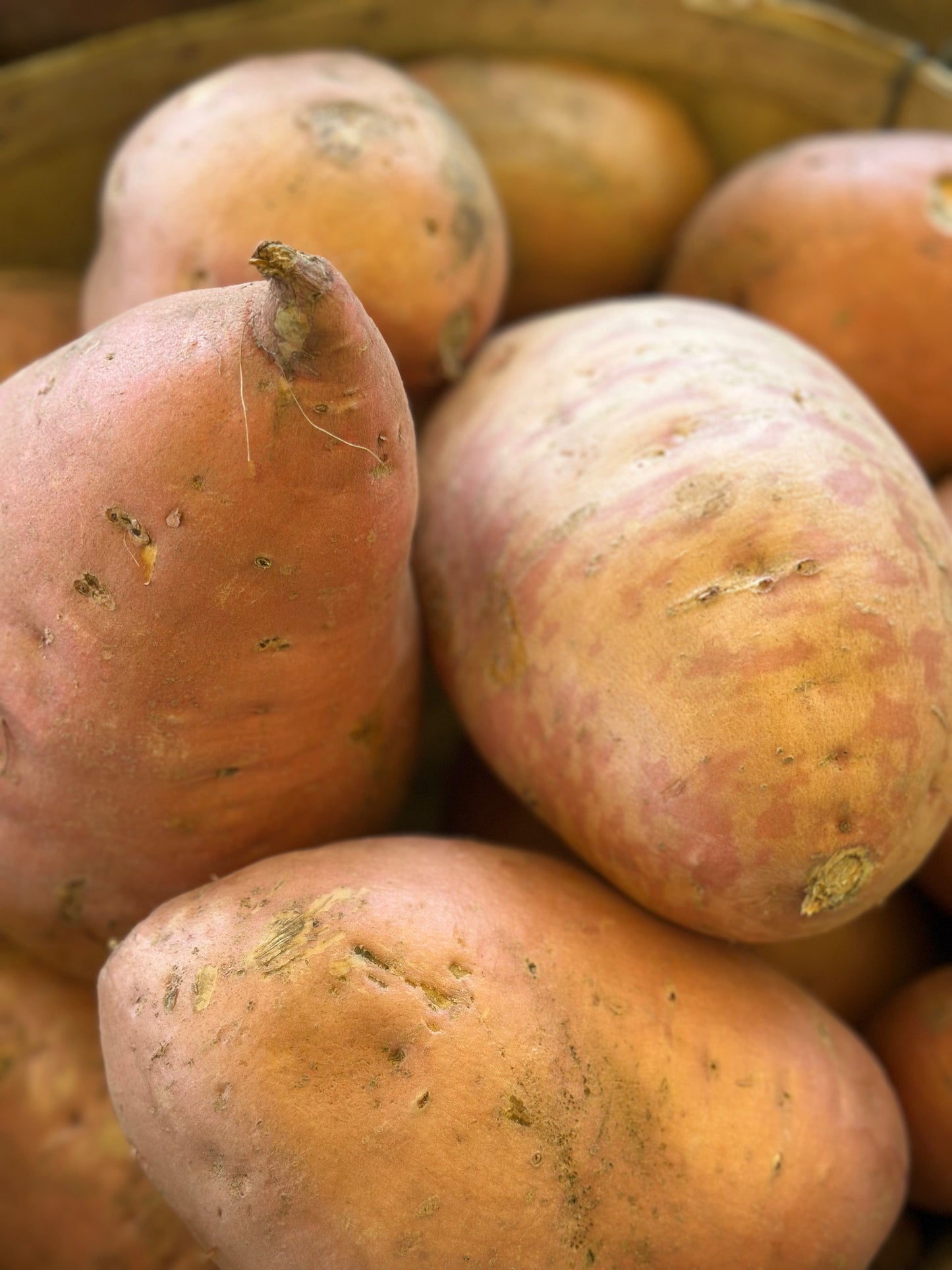 Sweet Potatoes 3.5