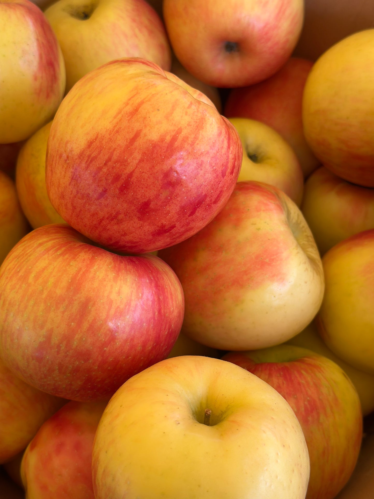Honeycrisp Apples 1lb