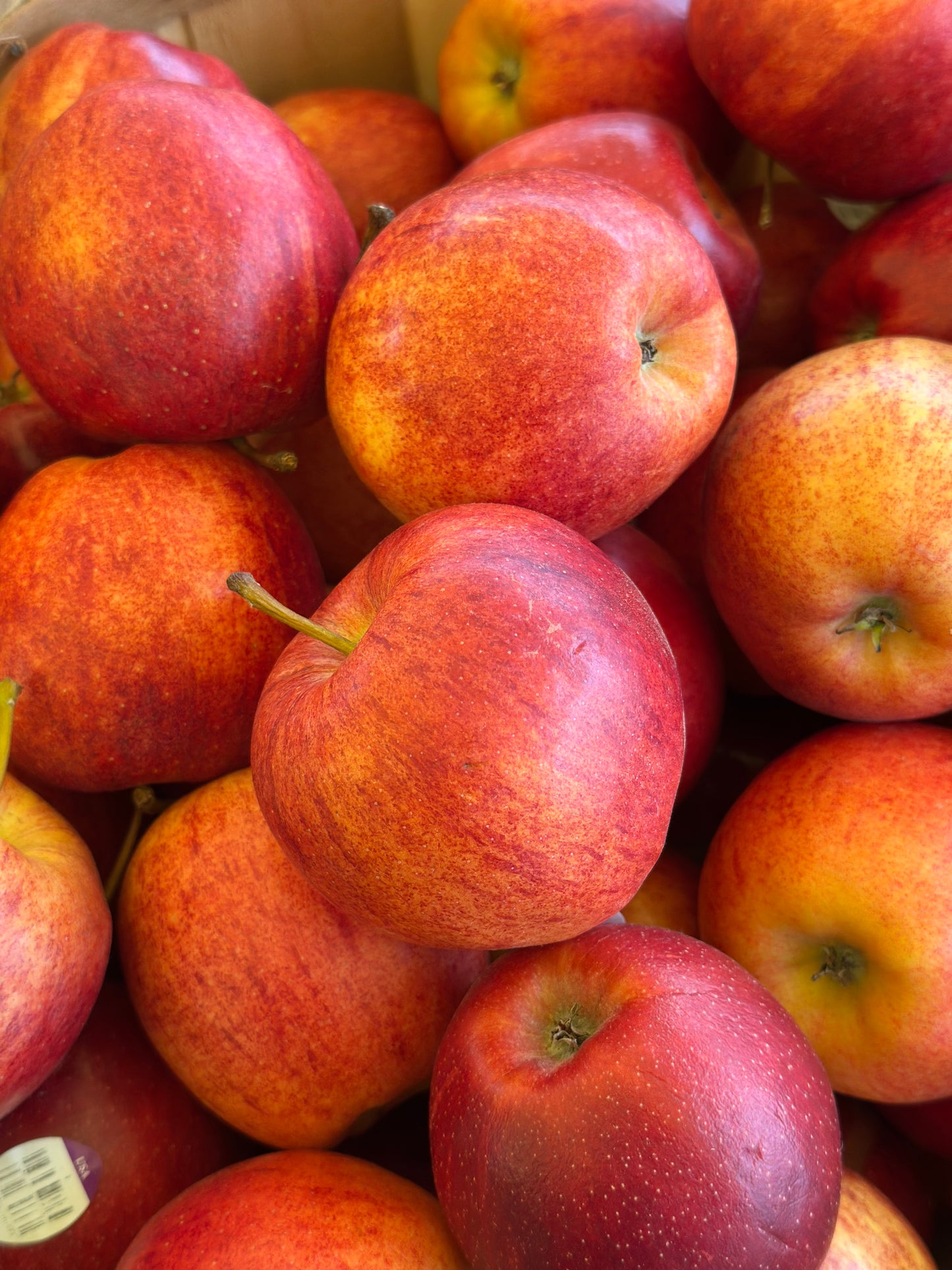 Gala Apples 1bs