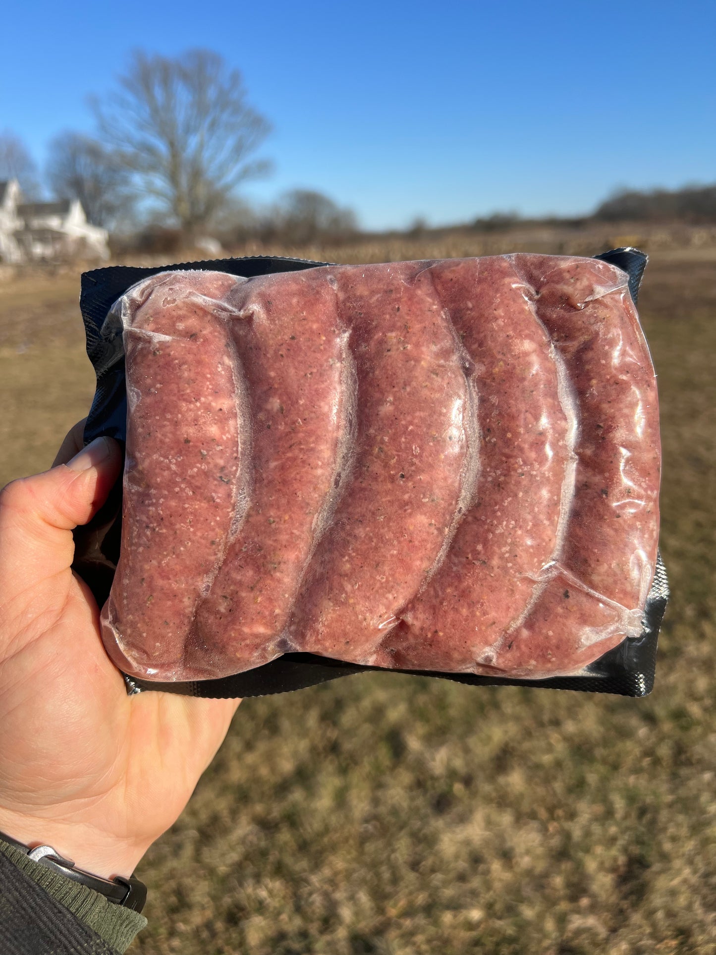 Sausage, Sweet Italian
