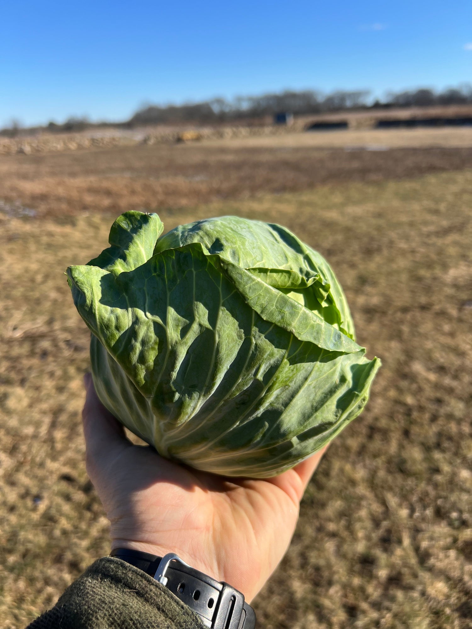 Locally Grown Produce