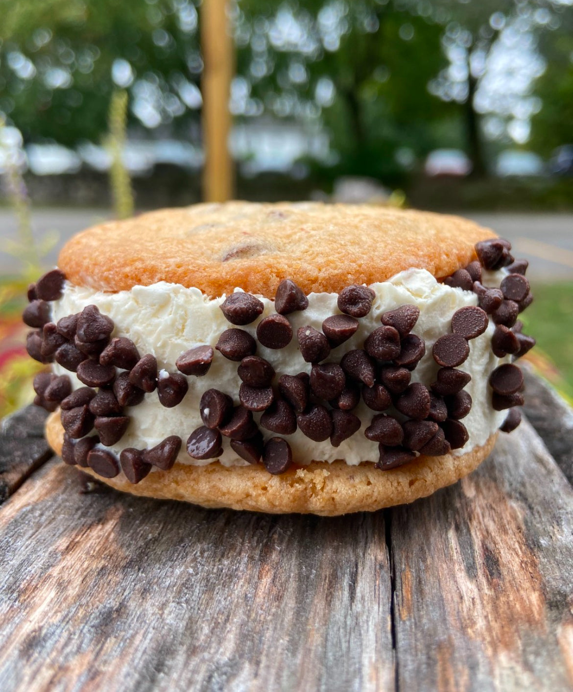 Vanilla Classic Ice Cream Sandwich