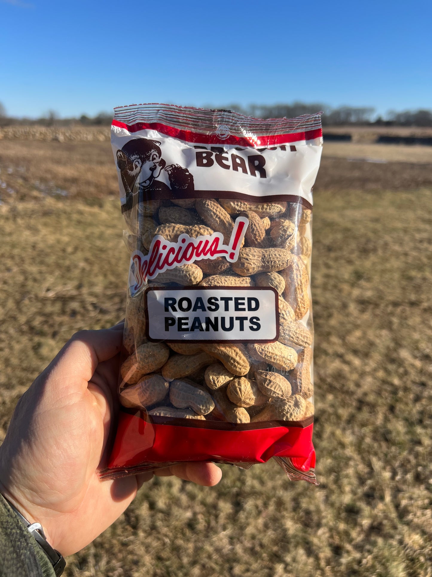 Peanuts, Whole Brown Bear in Shell