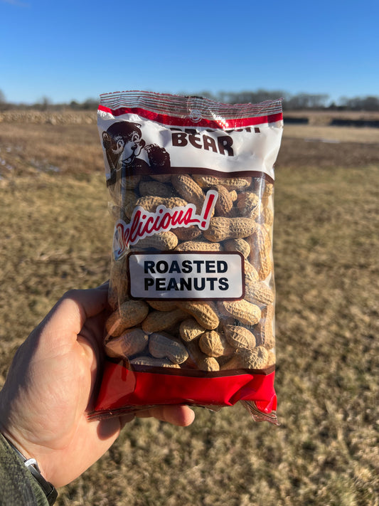 Peanuts, Whole Brown Bear in Shell