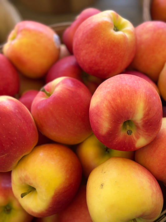 Ambrosia Apples 1lb bag