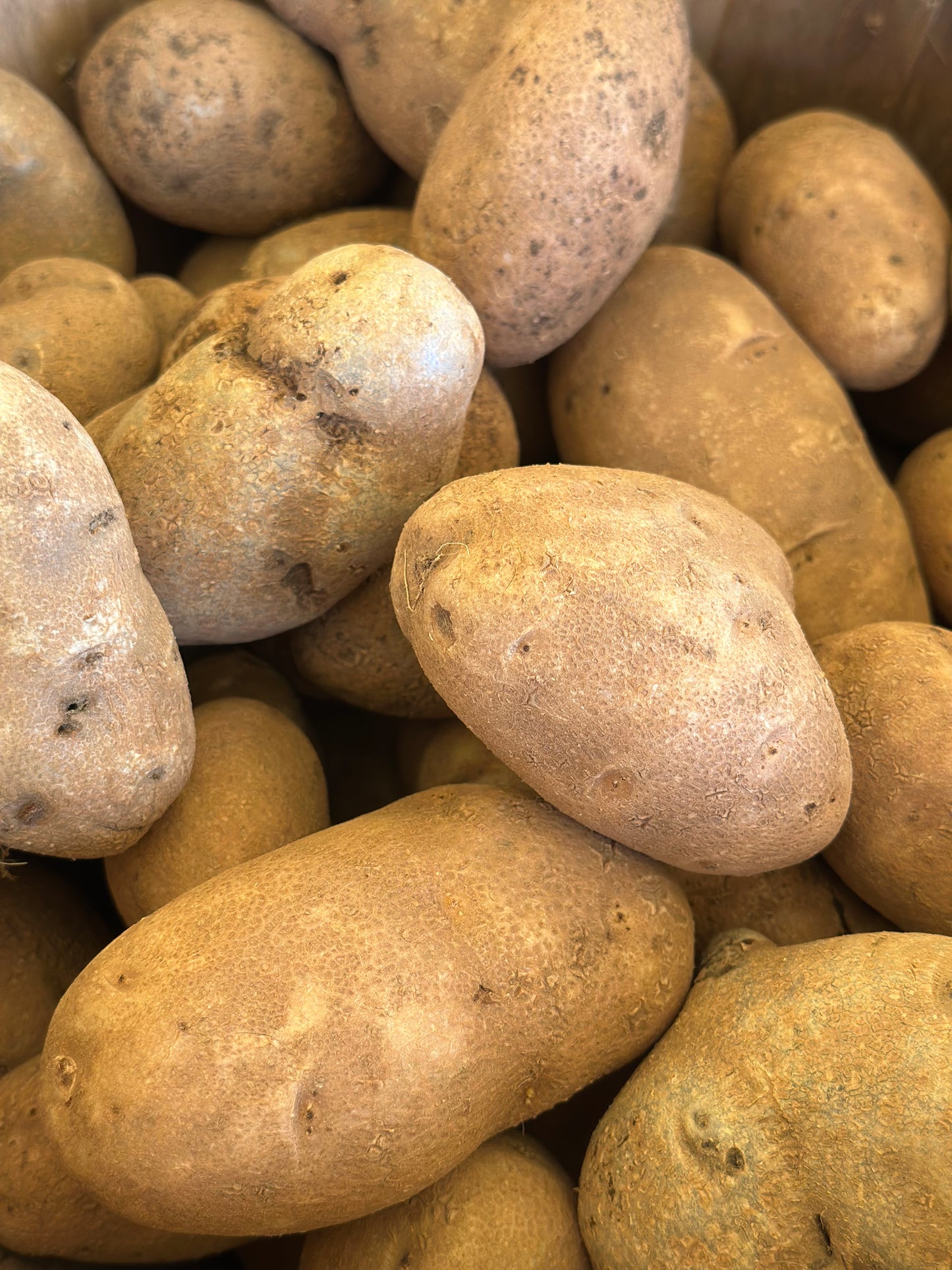 Russet potatoes Organic 1 lb