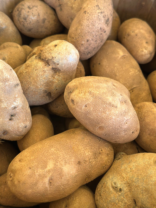 Russet potatoes Organic 1 lb