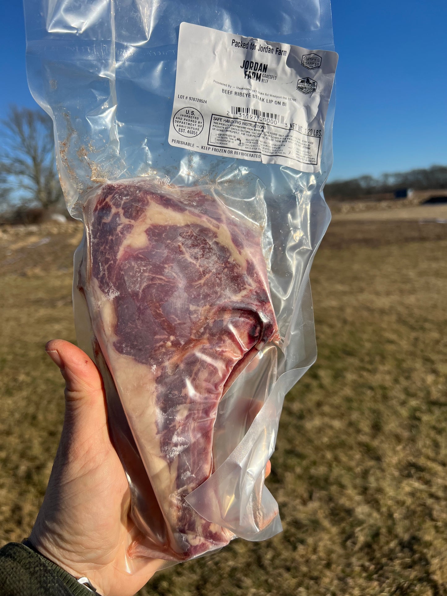 Steak, Ribeye