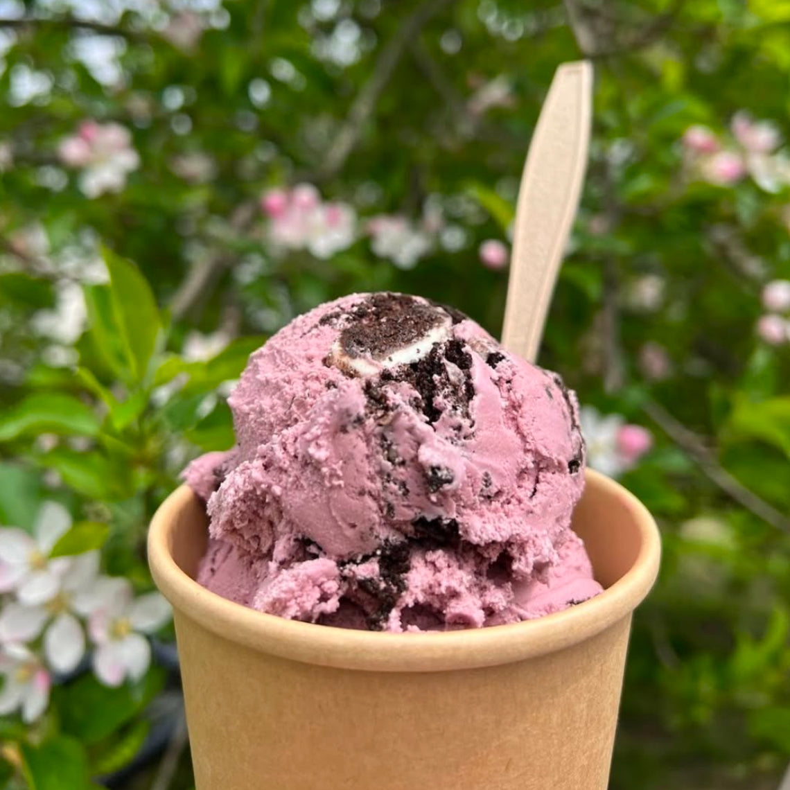 Black Raspberry Oreo Ice Cream