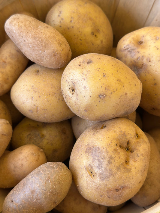 Organic Gold Potatoes 2.5 lb