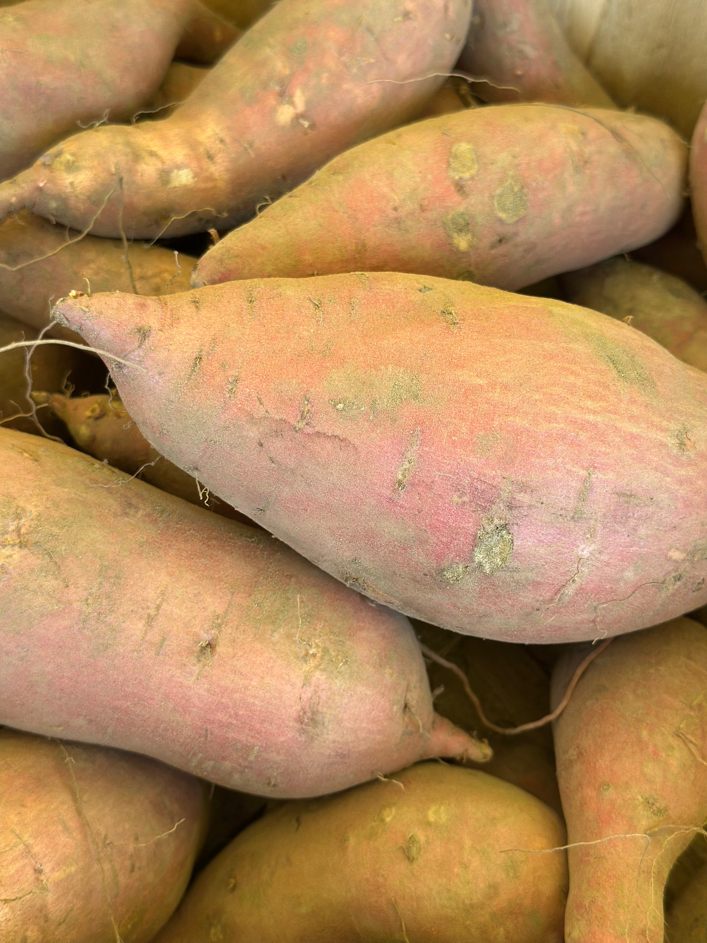Organic Sweet Potato 1.5lb