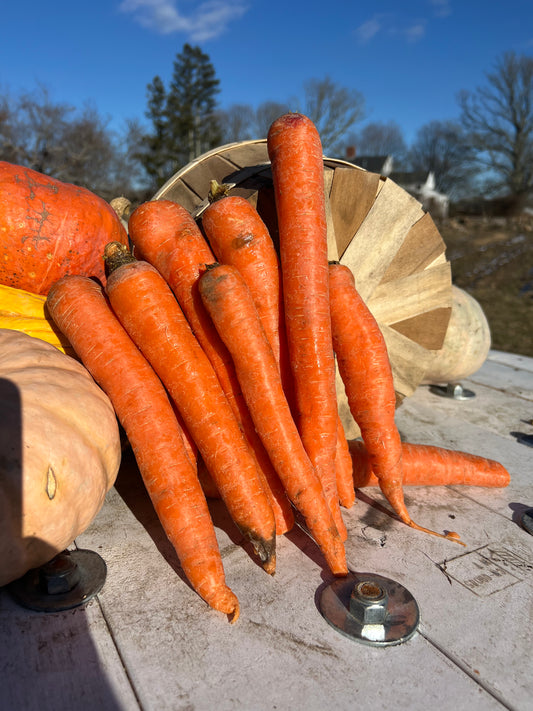 Orange Carrots
