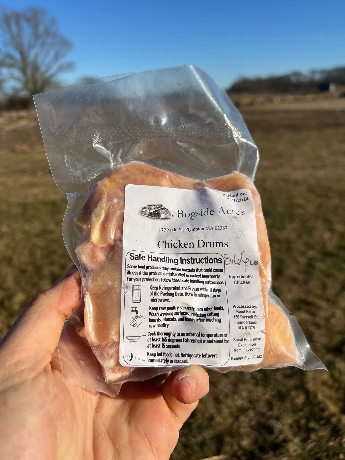 Chicken Drumsticks