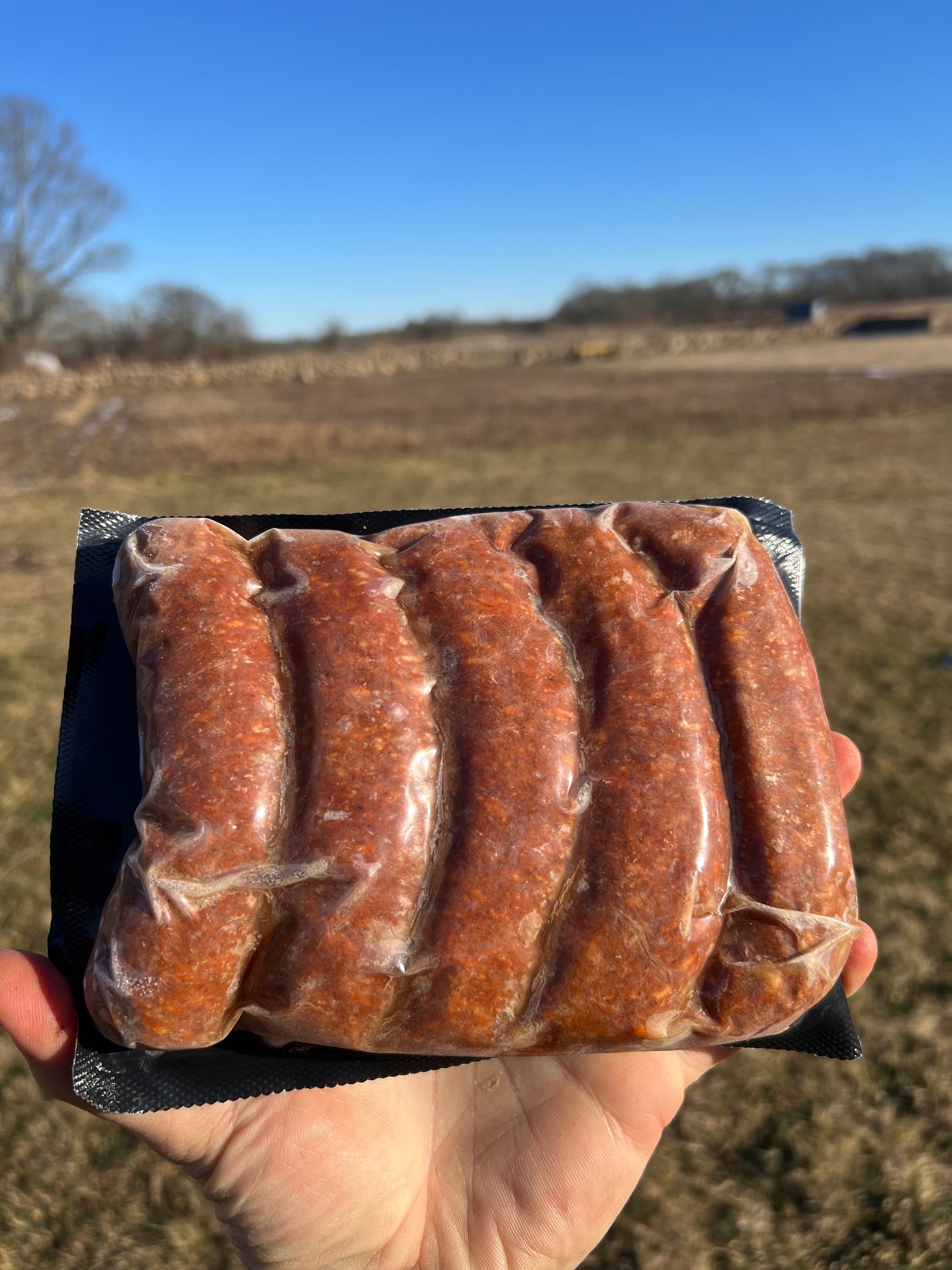 Sausage, Chorizo