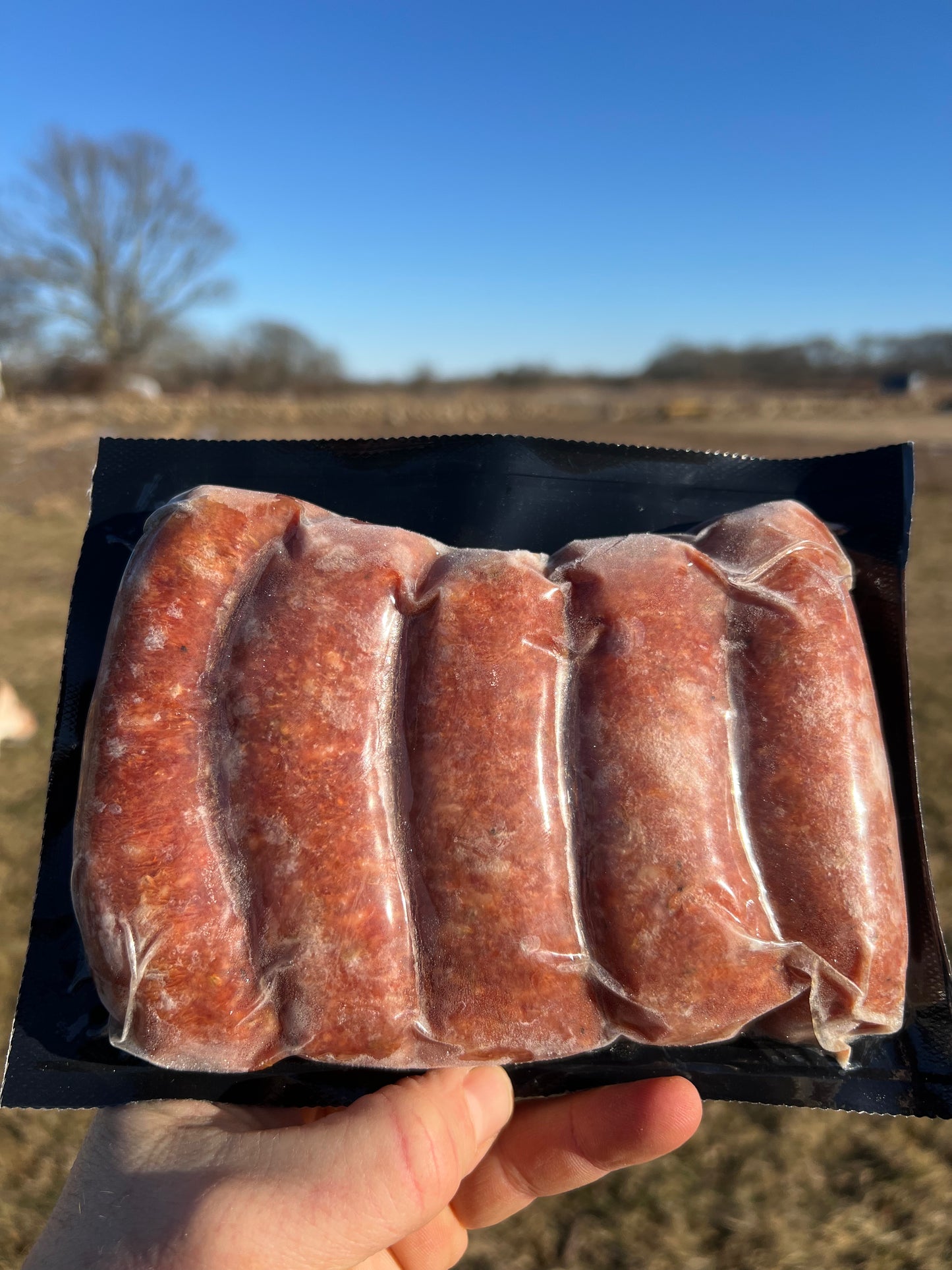 Sausage, Hot Italian