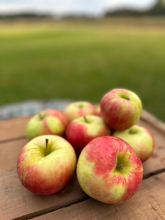 Apples, Honeycrisp